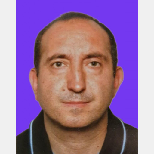 Manuel Santos Anciaes